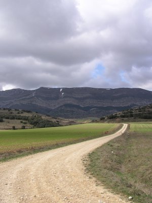 20070607.JPG
