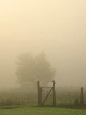 20070613.JPG