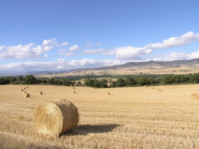 20070617.JPG