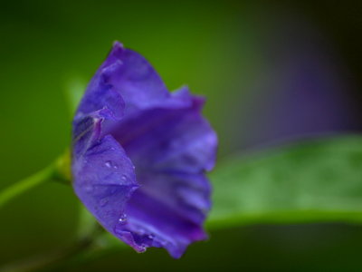 20131210.jpg