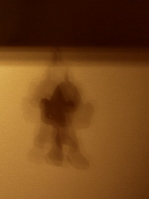 20131214.jpg