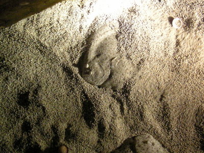 20131218.jpg