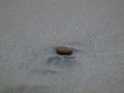 20131221.jpg