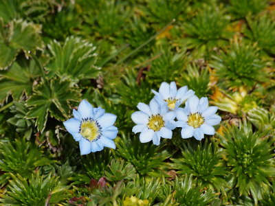 20140102.jpg