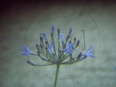 20140109.jpg