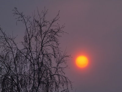 20140121.jpg