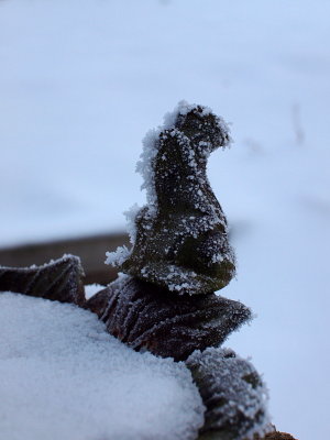 20140122.jpg