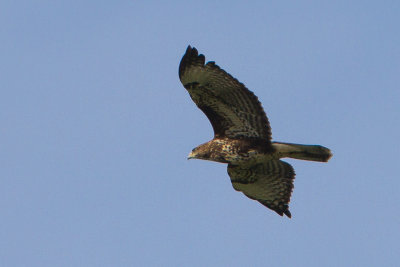 g9/72/979272/3/157698854.Uw4j9RC3.jpg