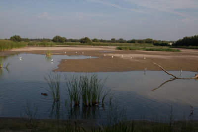 aiguamolls d'emporda