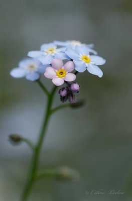 g9/73/1016273/3/163382861.jU3ZmqeR.jpg
