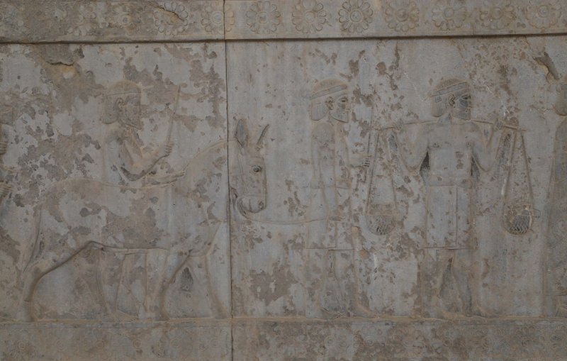 Indians from Sindh, Apadana Staircase, Persepolis