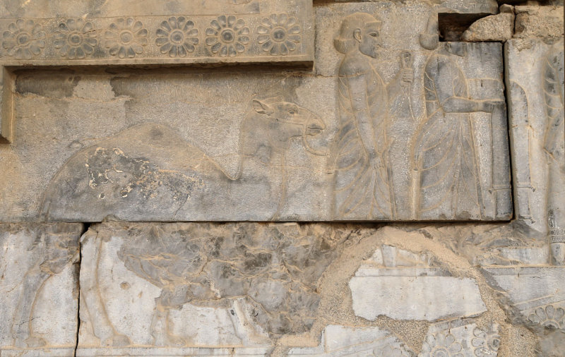 Arabs, Apadana Staircase, Persepolis