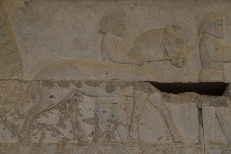 Sagartians, Apadana Staircase, Persepolis