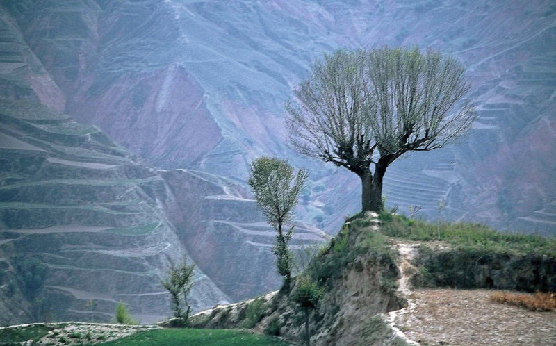Xiahe and Labrang Monastery