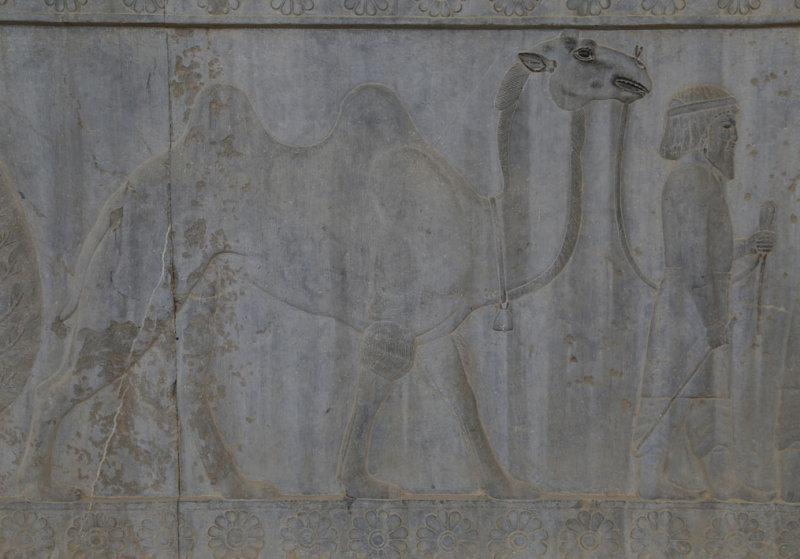 Parthians (Arachosians), Apadana Staircase, Persepolis