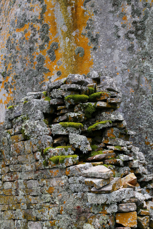 Great Zimbabwe Ruins