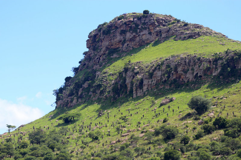 Battle of Isandlwana, Anglo-Zulu War