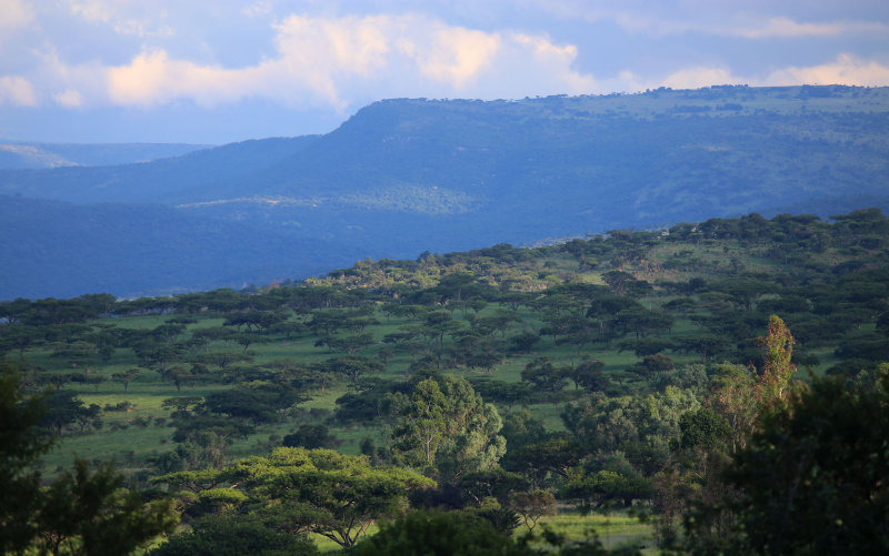 The Battle of Rorkes Drift, Anglo-Zulu War