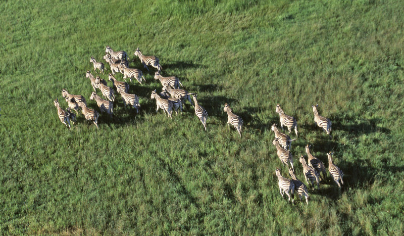 Okavango Delta