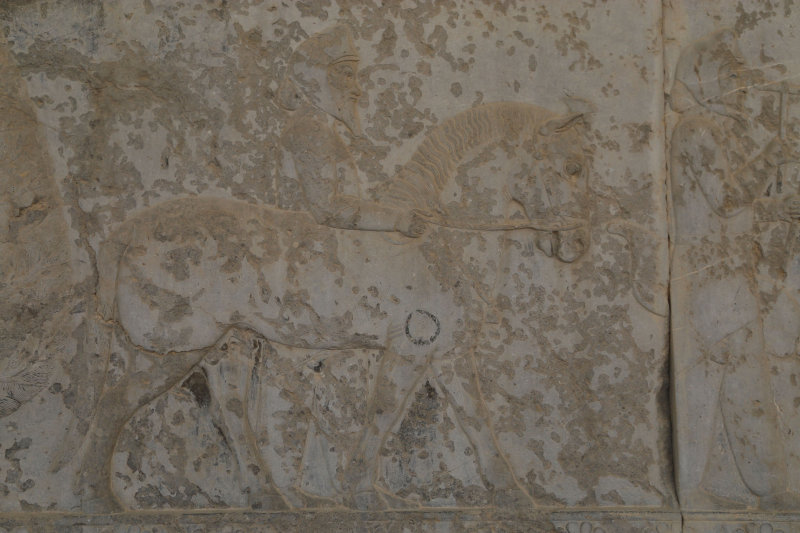 Amyrgians  Scythians (Sogdians), Apadana Staircase, Persepolis