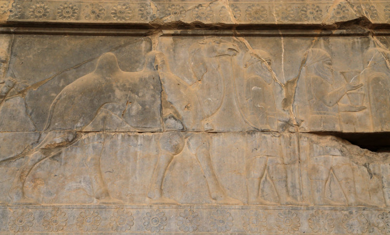 Arians (Parthians), Apadana Staircase, Persepolis