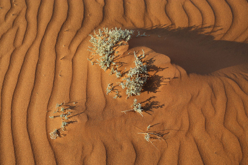 Sossusvlei, Namibia