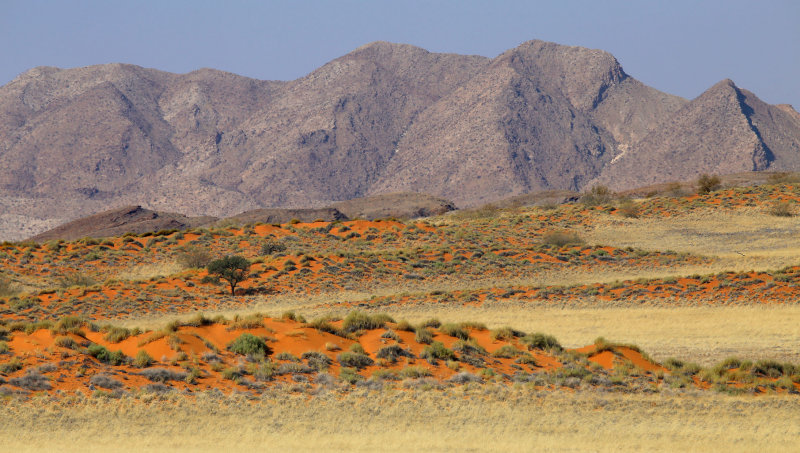 Sandunes and Grasslands, Sesriem