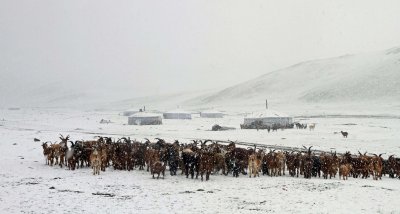 Summer Snowstorm, Bayan Olgii, Western Mongolia