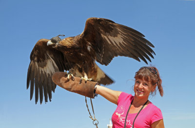 Tanya with Golden Eagle, Kharakorum, Mongolia