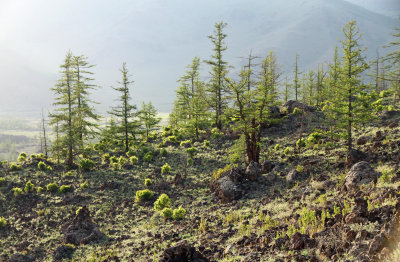 Terkhiin Tsagaan Nuur, Arkhangai, Mongolia