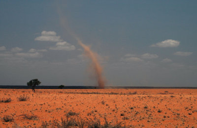 Dust Devil, Northern Frontier District, Kenya
