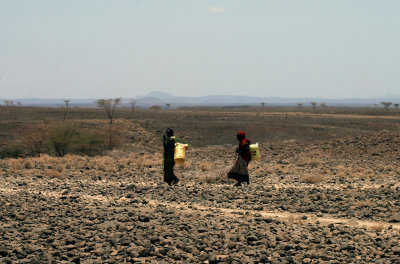 Gabbra women going to fetch water, Northern Frontier District, Kenya