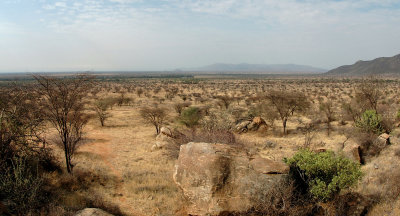 Samburu vista, Kenya