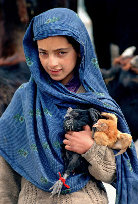 Shy young girl with Chickens, Rupal Valley, Nanga Parbat, Pakistan