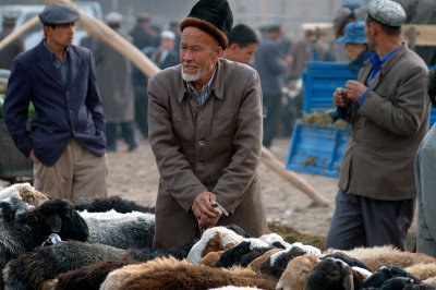 Uyghur selling his sheep, Kashgar Sunday Animal Market, Xinjiang, China