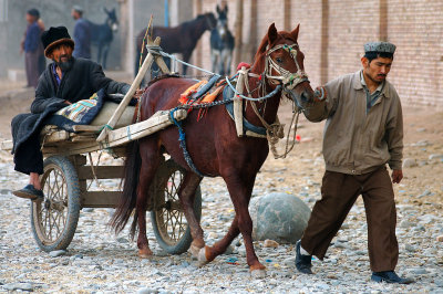 Kashgar Sunday Animal Market, Xinjiang, China