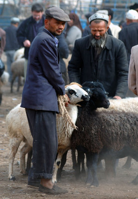 Kashgar Sunday Animal Market, Xinjiang, China