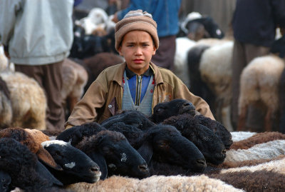 A young seller, Kashgar Sunday Animal Market, Xinjiang, China