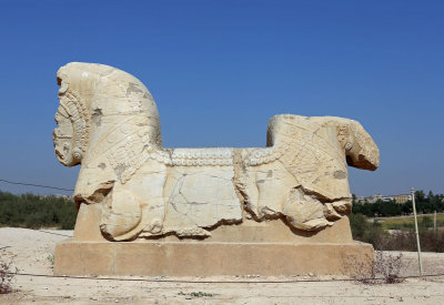 Bull's Head Capital, Susa