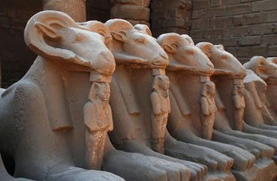 Ram Statues, Karnak