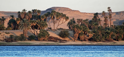 The Nile