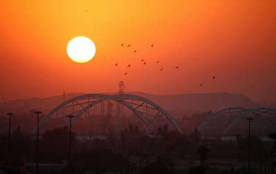 Pigeons at Sunset, Shushtar