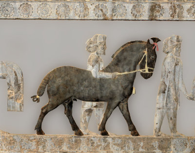 Digitally coloured Bas Relief of Horse, Cappadocian Delegation, Apadana Staircase, Persepolis