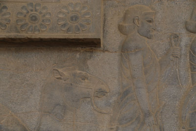 Original Image - Arab Delegation, Apadana Staircase, Persepolis