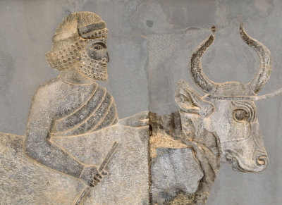Zarangian Delegation, Apadana Staircase, Persepolis