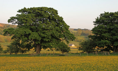 Malham, Yorkshire Dales