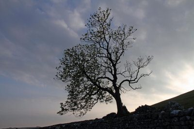 Malham, Yorkshire Dales