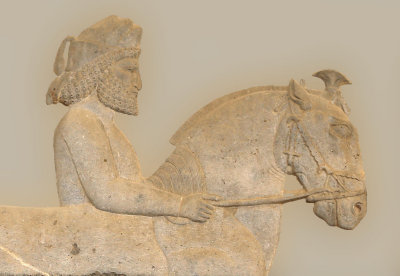 Sagartians from Yazd, Apadana Staircase, Persepolis