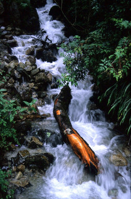 Stream, Inca Trail