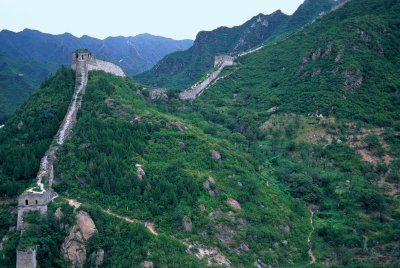 The Great (Wild) Wall